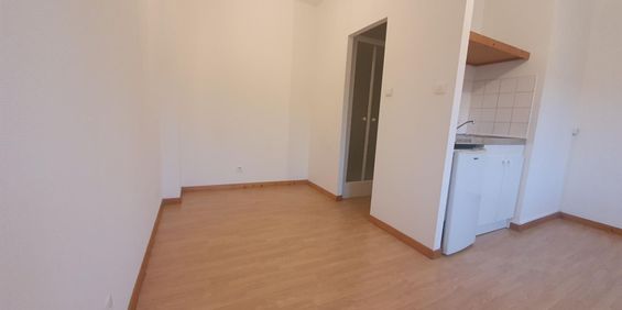 Location Appartement 1 pièce 18m² FLERS EN ESCREBIEUX 59128 - Photo 3