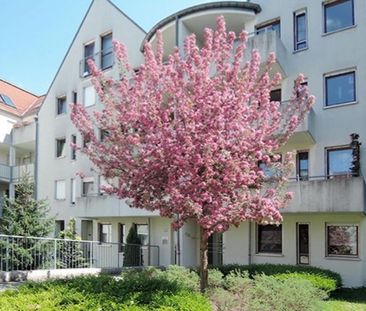 Sonnige Wohnung mit Balkon, Stellplatz und Einbauküche in Top-Lage! - Photo 5