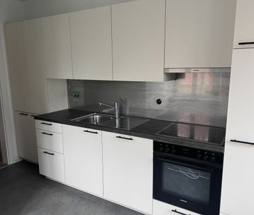 Quartier et petit locatif calmes, appartement de 3,5 pièces au rez ... - Photo 2