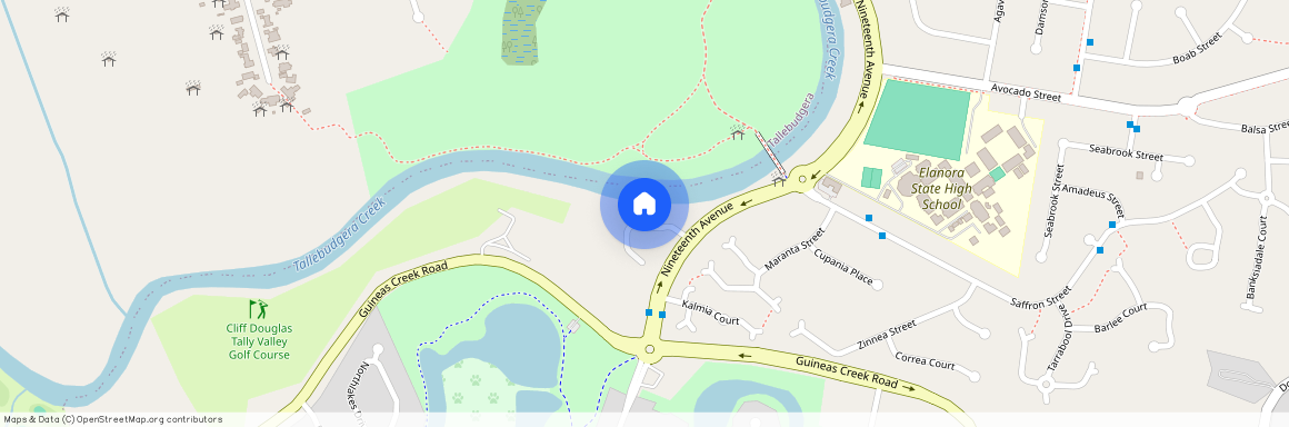 13 Cosmos Court, Qld 4221, Elanora