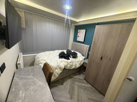 Studio Flat, Selly Oak, B29 - Photo 5