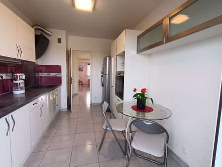 Location Appartement 3 pièces 81m² ANNEMASSE 74100 - Photo 4