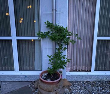 3.5 Zimmer, 58 m², EG - Photo 4