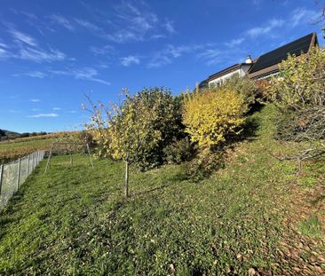 Magnifique villa individuelle de 7 pièces sur 3 niveaux - Magnifice... - Foto 1