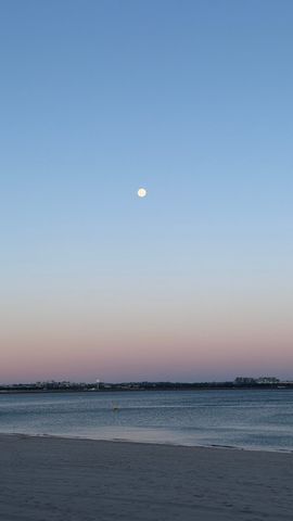 Brighton-le-sands - Photo 3