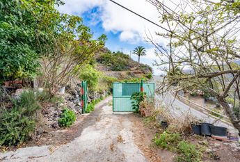 **¡Se Alquila Casa en Agulo, Las Rosas!** – 0067-04335