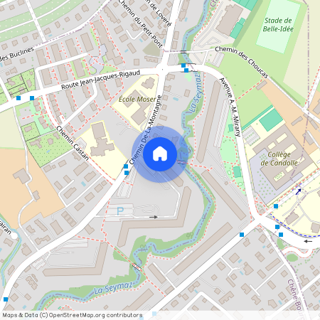 Chemin de la Montagne 132, 1224 Chêne-Bougeries