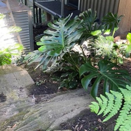 Move‑In Ready Furnished Unit in Prestigious Wahroonga Location - Photo 4