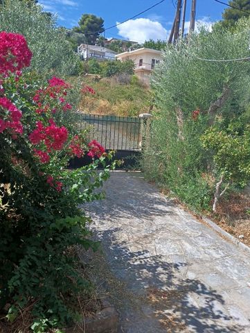 Μονοκατοικία για ενοικίαση Βλαστός (Κάλαμος) - Photo 5