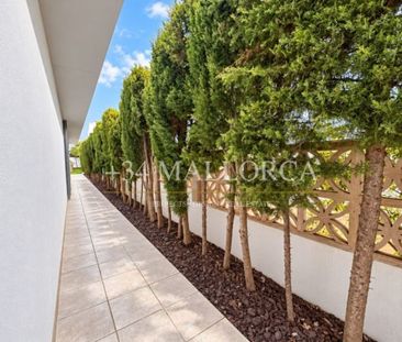 3 room luxury House for rent in Campos, Spain - Photo 5
