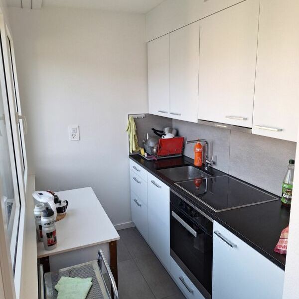 Appartement de 2 pièces au 9ème étage avec vue - Photo 1