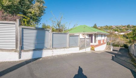 Sunny, Low-Maintenance Home and Ample Parking - Photo 2