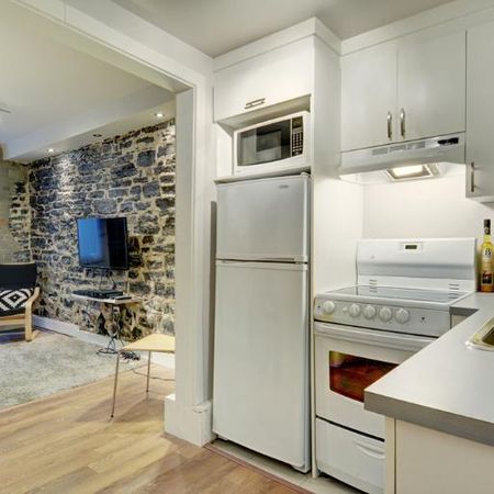 Loft entièrement meublé à louer Saint-Jean-Baptiste juillet 2026 - Photo 3