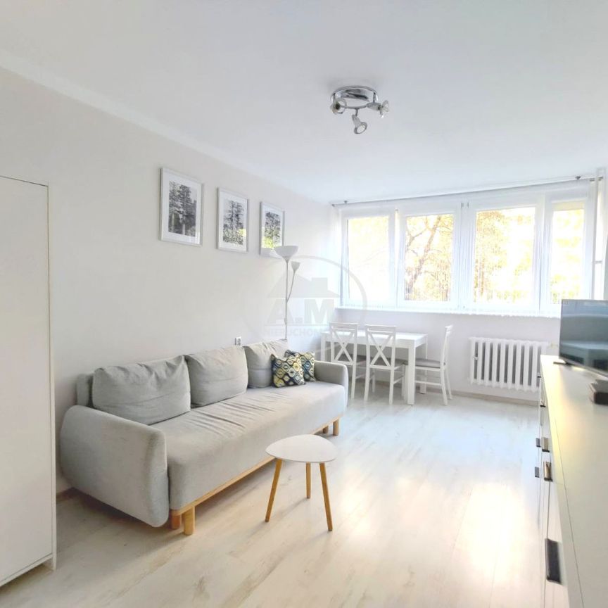 Umeblowane, do wprowadzenia, Uniwersytet Ekonomicz - Photo 1