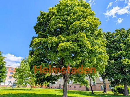 Pronájem bytu 3+1 60 m - Fotografie 5