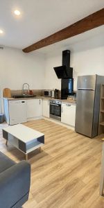 Location Appartement 1 pièce 32m² L ISLE SUR LA SORGUE 84800 - Photo 3