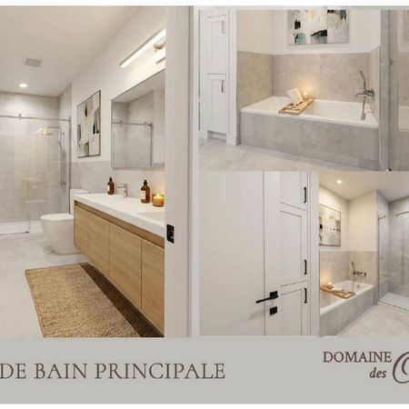 Logement neuf Grenville 5.5, 1.5sdb 3 cac - Photo 3