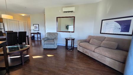 Copper Sky FURNISHED 2 bd, 2 bath condo - Photo 3