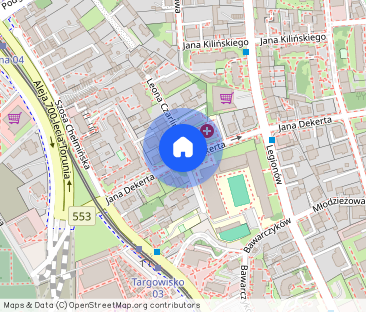 Na wynajem 2-pokoje - Chełmińskie Przedmieście - Zdjęcie 1