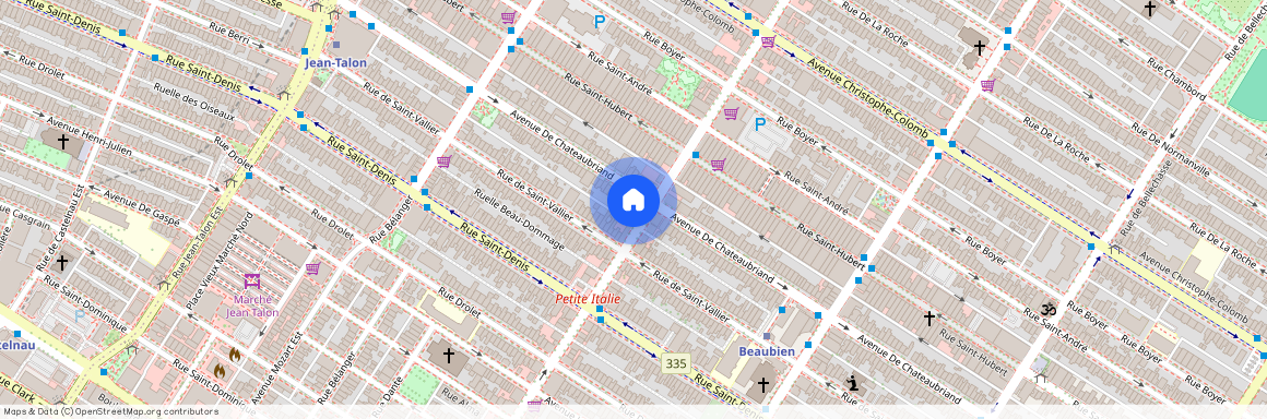553 Rue St Zotique E., Montréal (Rosemont, QC H2S1M2