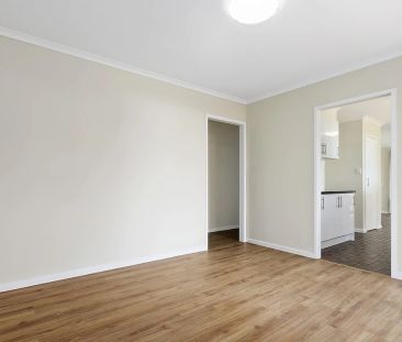 Spacious Renovated Home - Photo 3