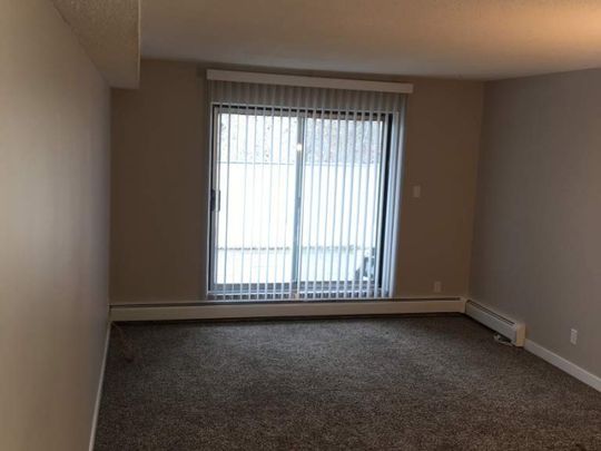 Small Pet Friendly 2 Bedroom Suite with Elevator! 2 Weeks Free Rent! - Photo 1