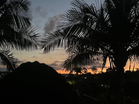 Pacific Pines - Photo 5