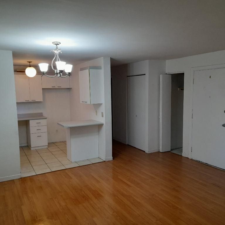 Lachine - Grand 4 1/2 - Disponible 1er Juillet** - Photo 1