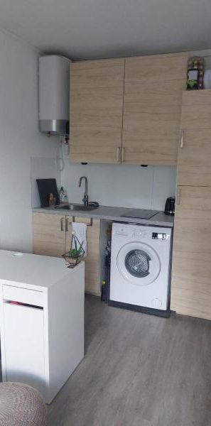 Location Appartement 1 pièce 18m² LYON 7ème - Photo 1