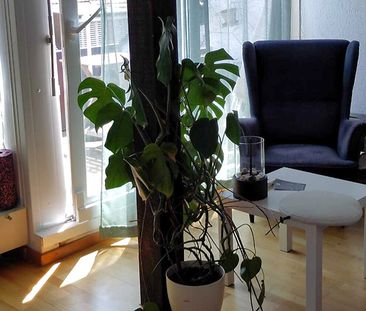 1½ Zimmer-Wohnung in Bern - Ostring, möbliert, auf Zeit - Photo 3