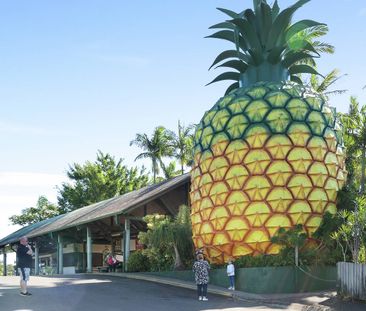 17 Mary Street, Nambour QLD 4560 - House For Rent | Domain - Photo 6
