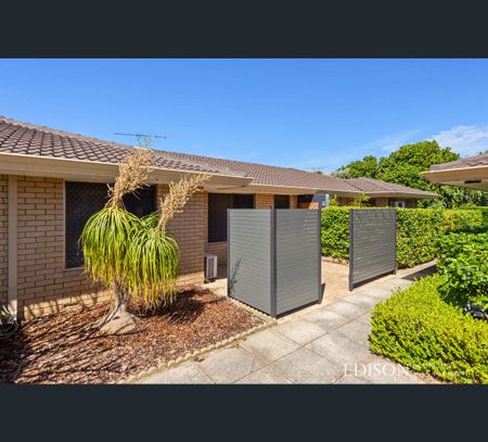 7/27 Waterloo Street, Joondanna, WA 6060 - Photo 5