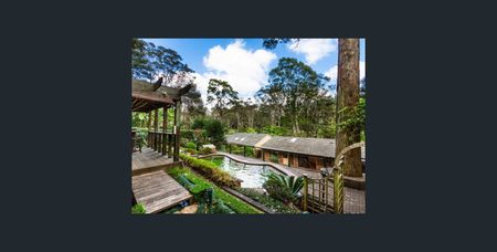 14 Minnamurra Place, Pymble NSW 2073 - House For Rent | Domain - Photo 5