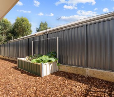 Low Maintenance 4x2 Family Home in Baldivis - Photo 3