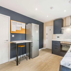 Brand New Studios and Ensuites with Driveway Studio 4 - Photo 2