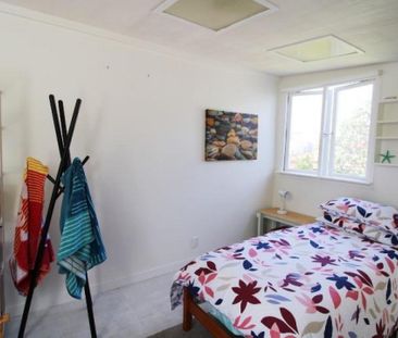 Rustic Sunny Whangapoua Cabins - Photo 6