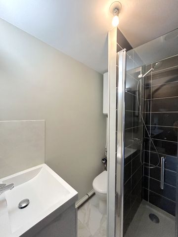 A LOUER APPARTEMENT 1 PIECE AVEC MEZZANINE - BORDEAUX COURS VICTOR HUGO - Photo 2