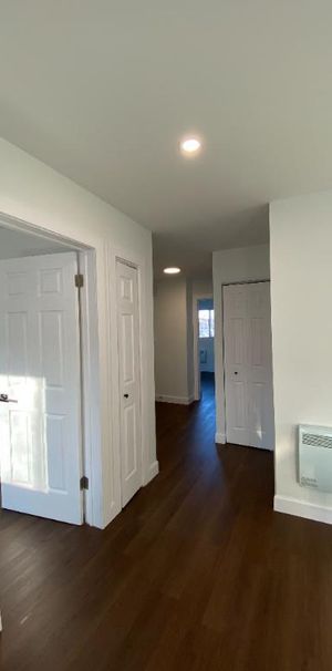 Grand 4½ entièrement rénové – 5 électroménagers inclus – Rosemont - Photo 1