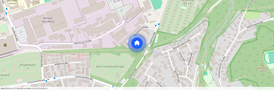 Steiglehnerstr. 31, 90491, Nürnberg