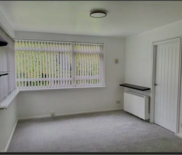 Studio Flat, Trident Court, B32 - Photo 6