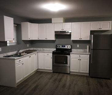 Spacious Basement Suite in Chimney Hills - Photo 4