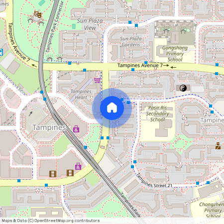 239 Tampines Street 21 (520239), Singapore