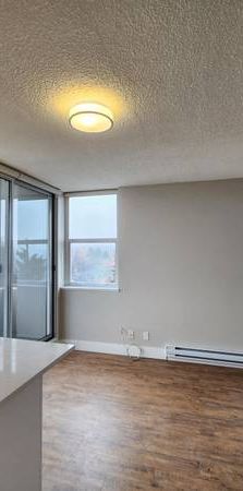 Pet Friendly 1 Bedroom With Laundry In Mount Pleasant - Photo 1