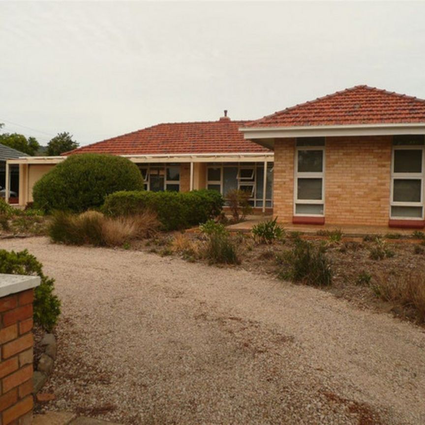 194 Montacute Road, Rostrevor SA 5073 - Photo 1