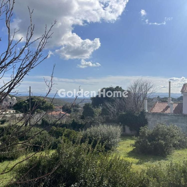 Μονοκατοικία για ενοικίαση Νταού Πεντέλη (Πεντέλη) - Photo 1