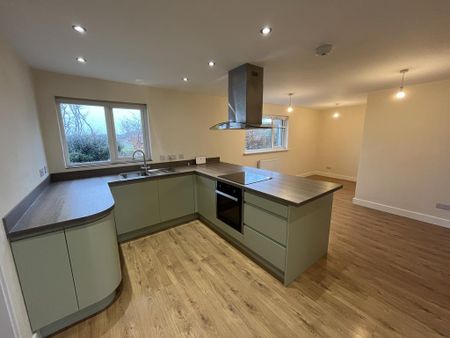 3 bedroom bungalow to rent - Photo 5