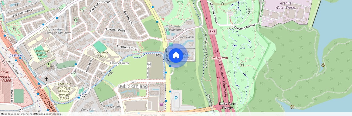 101 Petir Road, D23, 678272, Singapore