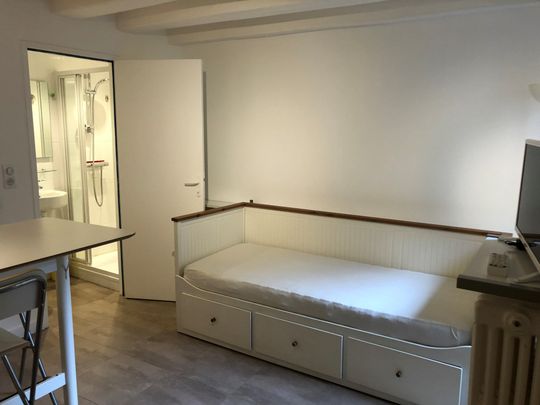 Location Appartement 1 pièce 15m² NANTES 44000 - Photo 1