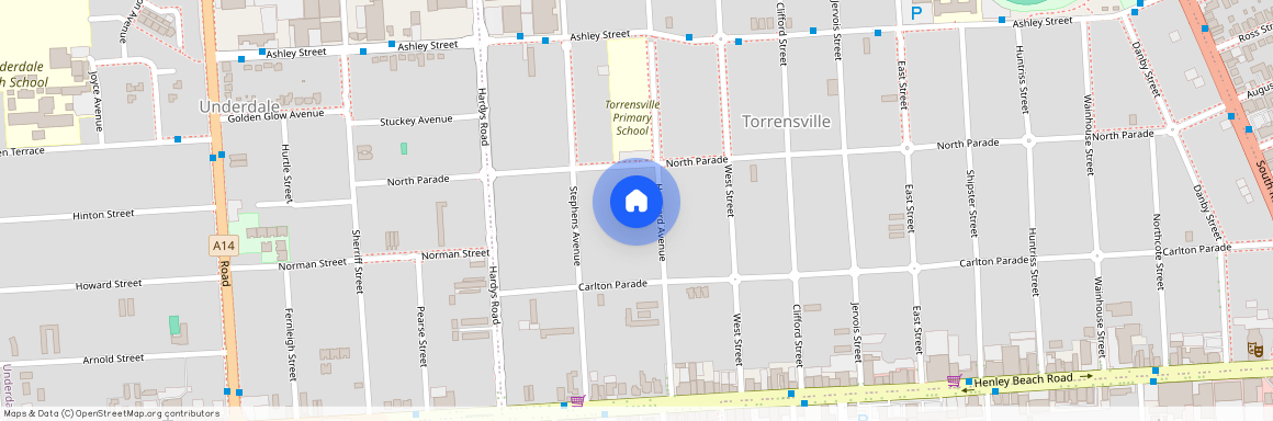 21 Hayward Avenue, SA 5031, Torrensville