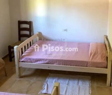 Casa rústica en alquiler en Manacor - Foto 6